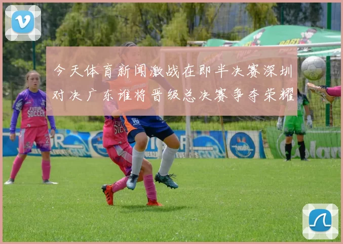 今天体育新闻激战在即半决赛深圳对决广东谁将晋级总决赛争夺荣耀