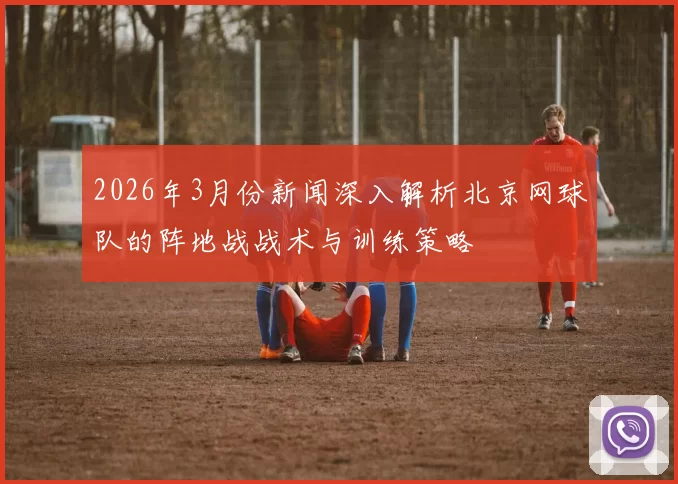 2026年3月份新闻深入解析北京网球队的阵地战战术与训练策略